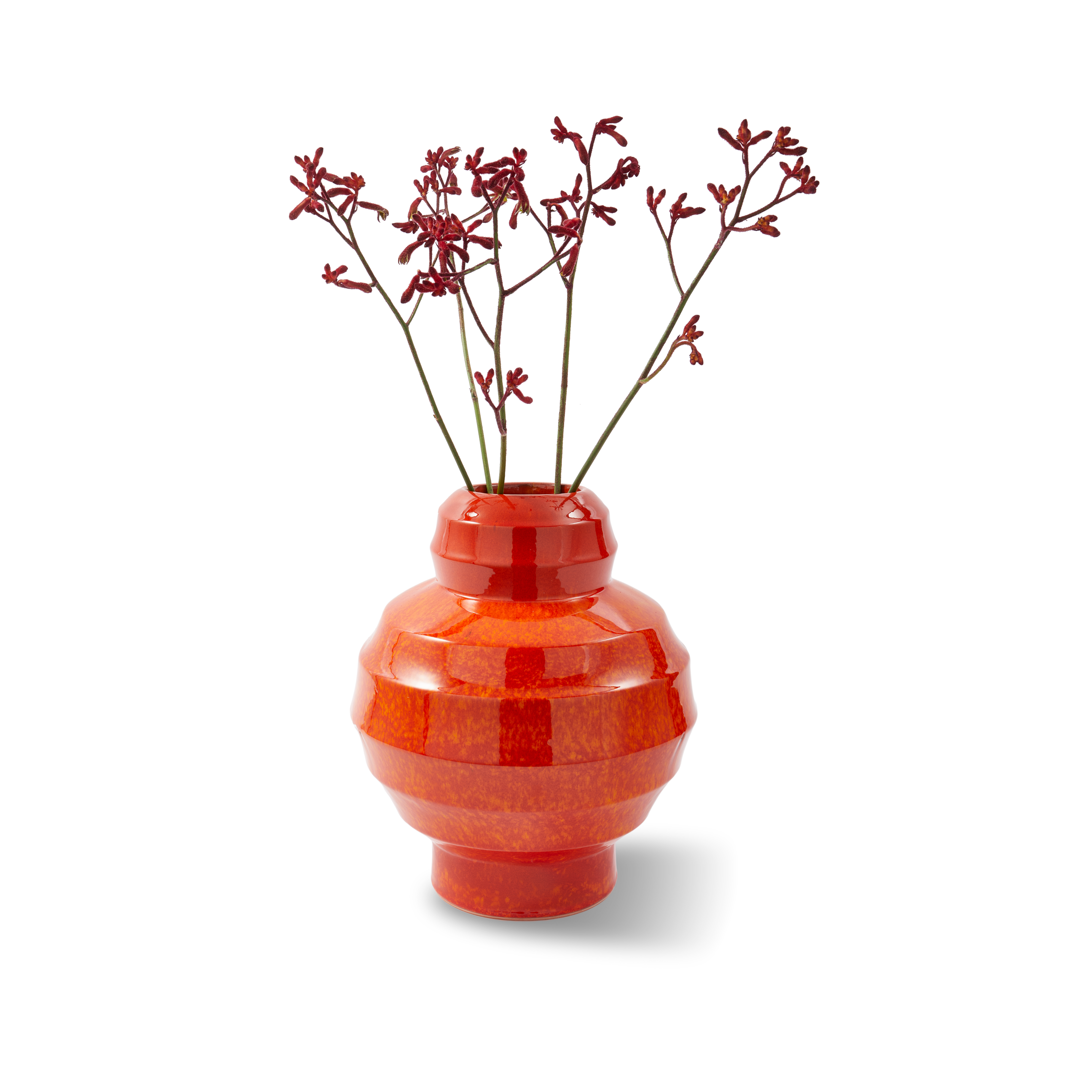 ואזה "Sumo" בצבע כתום